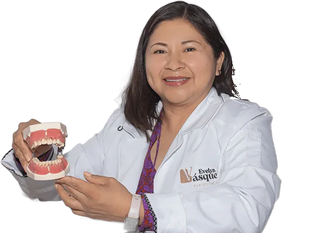 Dra. Evelyn Vásquez Ciriaco, periodoncista, con bata blanca mostrando un modelo dental
